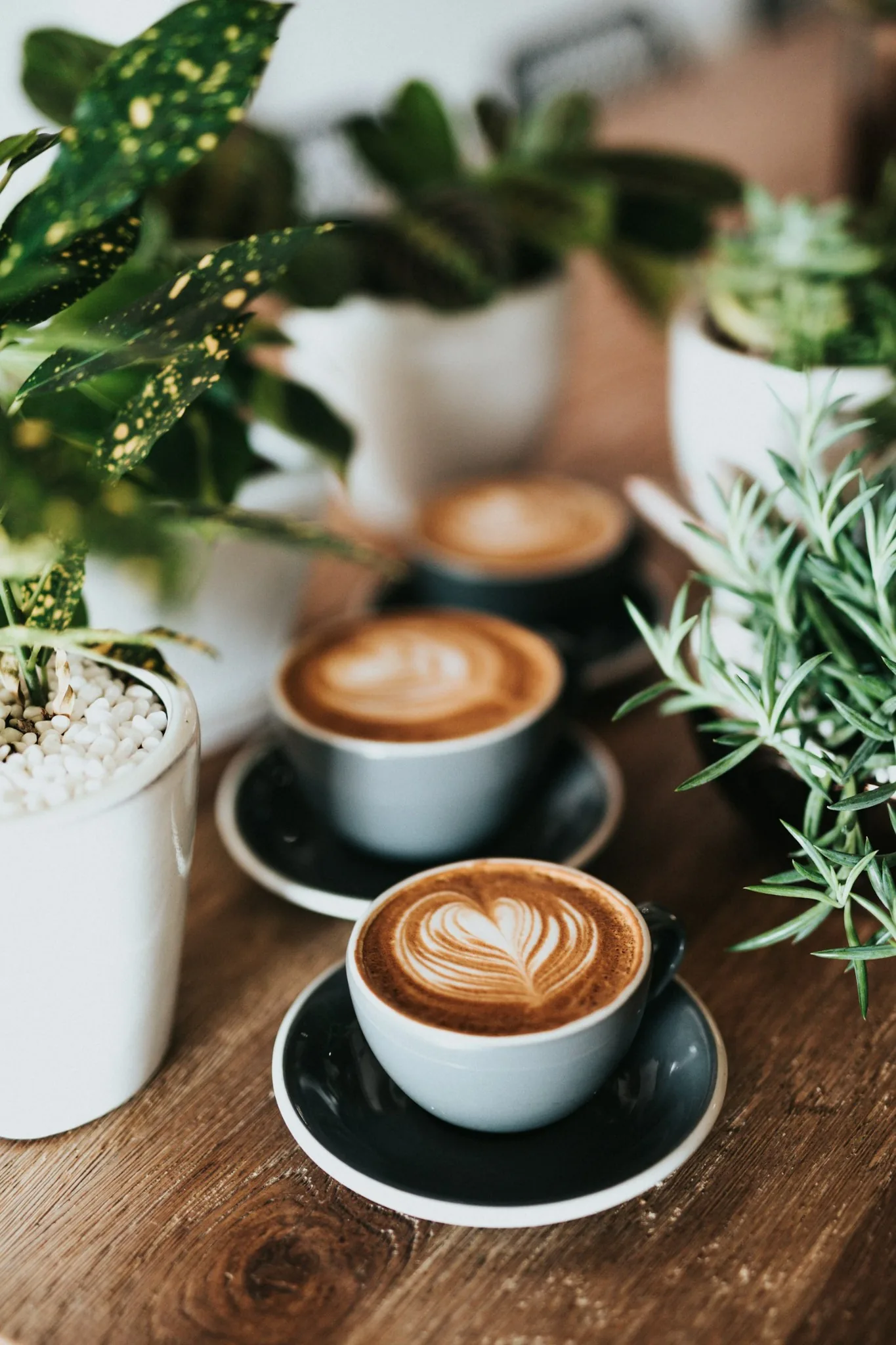 Estate coffee blend